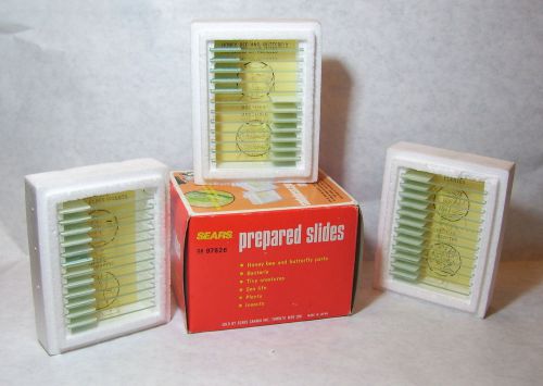 Vintage Prepared Slides 36 Slides SEARS Preparations Microscopiques Insects Ect.