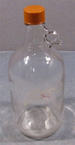 12 Inch High Glass Jug with Top