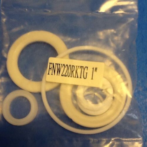 Ferguson repair kit (# fnw220rkt-g) fit 1&#034; ball valve for sale