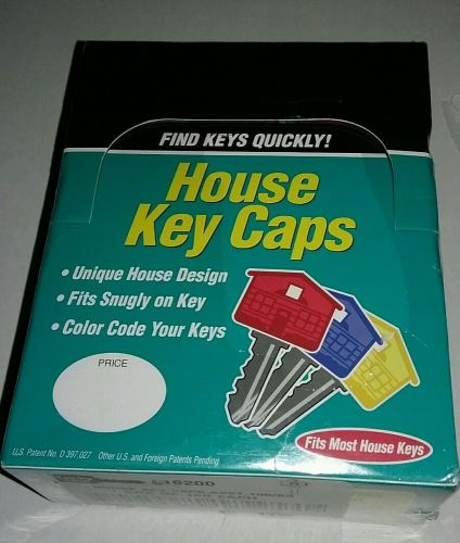 Lucky Line Products House Key Caps, 100 per Box, Assorted Colors (16200)