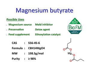 100g Magnesium butyrate