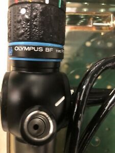 Olympus BF Type P30 Flexible Bronchoscope Endoscopy BF-P30 Endoscope  - Working