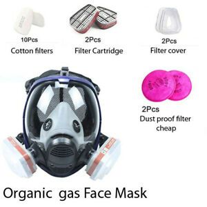 17 in 1 Organic Full Face gas Mask Vapor Respirator filter Painting Spraying