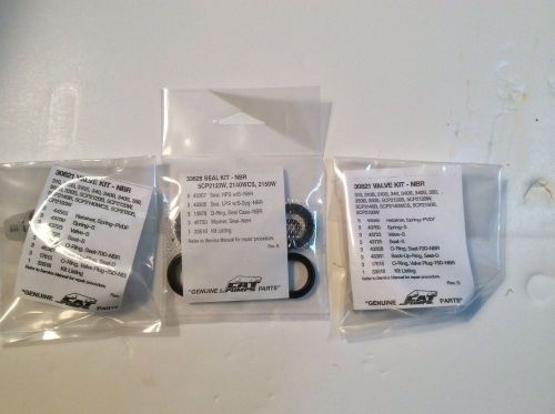 Cat Pumps Seal Kit &amp; 2 Valve Kits For 5CP2120W, 21240WCS &amp; 2150W