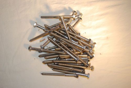 Stainless Steel Lag Bolts 4 in. Hex Head 5/16 by 4 inches - Quantity 40