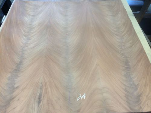 Wood veneer crotch mahogany 48x48 1pcs total 20mil paper backed &#034;exotic&#034; crlm24 for sale