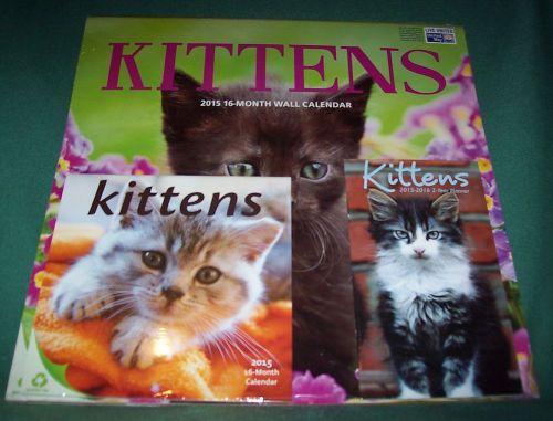 2015 Wall Calendar 16 Month 2 Year Purse Planner Smile Making Kittens Kitty Cats