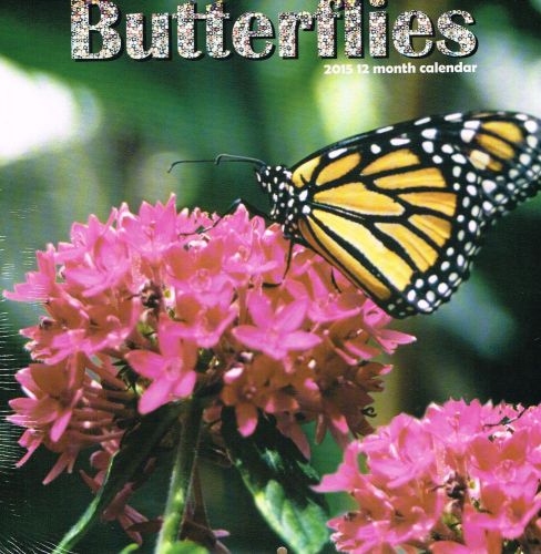 2015 BUTTERFLIES 12x12 Wall Calendar NEW SEALED Outdoor Nature Animals Flowers