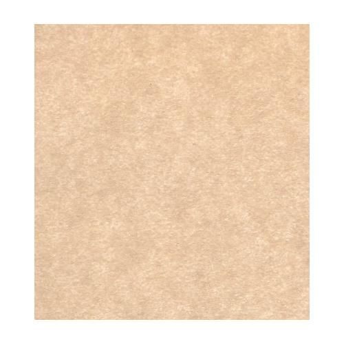 Scroll Tan Parchment Paper 24lb, Size 11 X 17 Inches, 50 Sheets Per Pack New