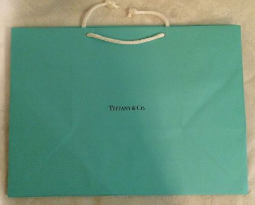 Tiffany &amp; Co Gift Bag - Large 15 1/4&#034; W x 11&#034; H x 8 1/4&#034; D