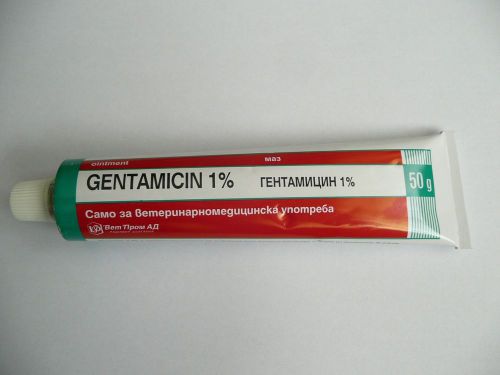 Gentamicin 1% Ointment for cattle , equine , swine