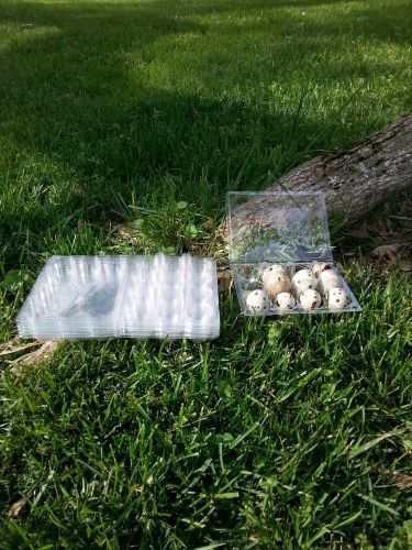 200.00  Corturnix Quail Egg Cartons (Holds 12 eggs each)