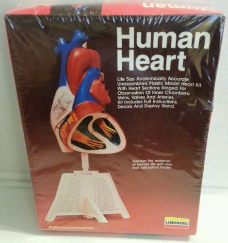 1990 Lindberg Human Heart Model Plastic Kit 71338