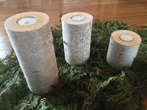 White Birch Candle Stands