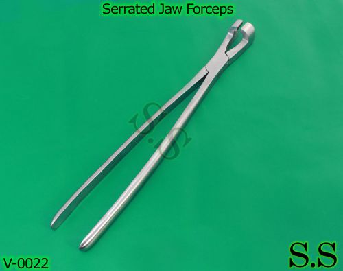 16&#034; Serrated Jaw Forcep, Hand Crafted, Stainless Steel, Dental,Equine,S.S-V0022