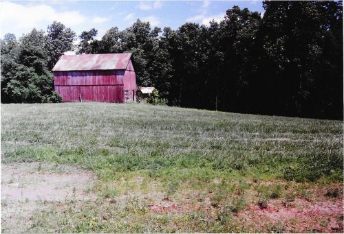 $ SPECIAL $ VINTAGE WHITE OAK WOOD BARN  42 FTX25 FT LATE 1800s-Beams,Siding,