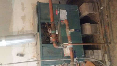 Raypak Domestic Hot Water Boiler H3-0399