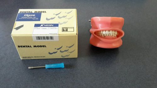 Nissin Kilgore Dental Model Typodont with Rubber Cheeks