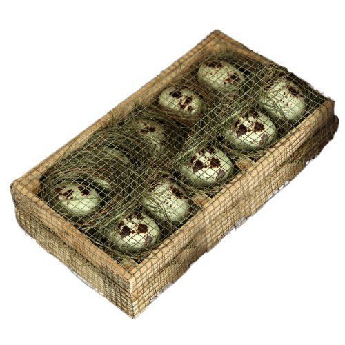 Crate of Speckled Eggs with Chicken Wire  Large