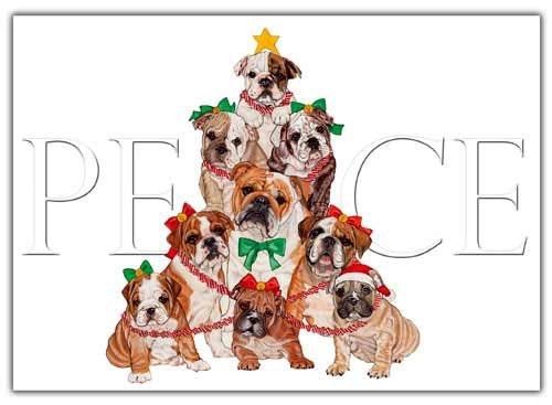 Pipsqueak Bulldog Christmas Cards Peace : 10 Holiday Cards with Red Envelopes -