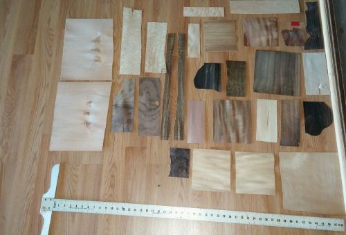 28 assorted wood veneer birdseye ebony walnut rosewood koa imbuya assortment