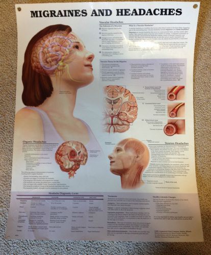 Anatomical Chart Company Migraines and Headaches