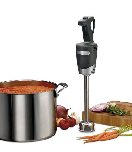 Immersion Hand Blender Stainless Steel Blade 10 Inch Lightweight 350 Watt Safe