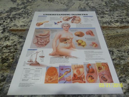 Understanding Diabetes Chart Paper 11&#034; x 14 1/2&#034;