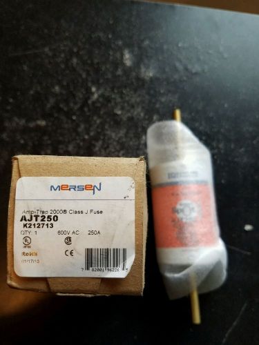 New IN BOX GENUINE  Ferraz Shawmut Mersen, AJT250 FUSE 250 AMP NEW