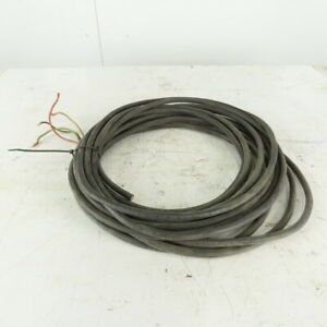 Carol 12/4 SJOOW Cable 12AWG 4/C 300V 45&#039;