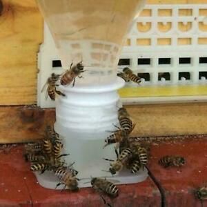 Bee Drinking Fountain Bee Queen Bee Water feeder Equipment D5N5. Keeping R1F7