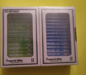 DIY Educational Type Prepared Slides Set Of 4 (48 Slides) NEW