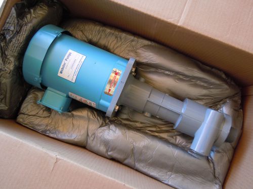 WEBSTER HAYWARD 1S5HX0008 CPVC Vertical Immersible Pump S Series W1S5P81396V