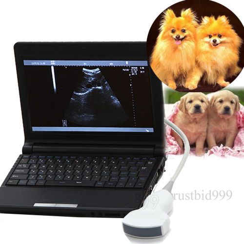 New Model Laptop Vet Veterinary Ultrasound Scanner/Machine +convex Probe Animals