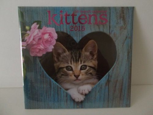 2015 16 Month &#034;Kittens&#034; 11&#034;x 12&#034; Closed/22&#034;x12&#034; Open Wall Calendar NEW &amp; SEALED