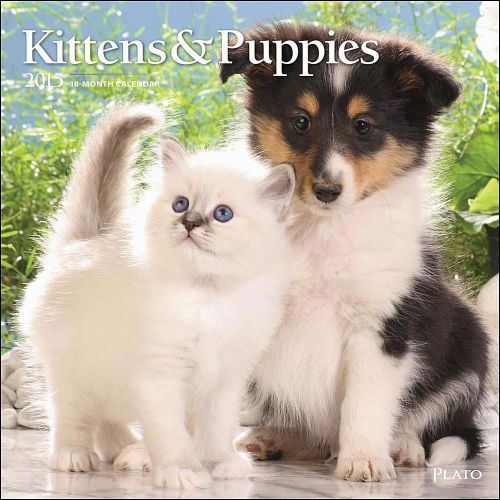 2015 KITTENS &amp; PUPPIES Wall Calendar 12X12 NEW &amp; SEALED