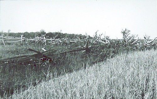 1924 NY Plateau Honeoye to Candice Lakes Stump &amp; Rail Fences Lantern Slide