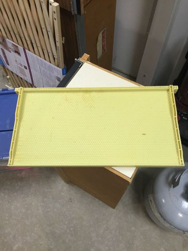 Plastic beehive frames