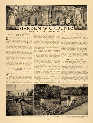 1909 article garden grounds mcadam poppies flowers soil - original cl9 for sale
