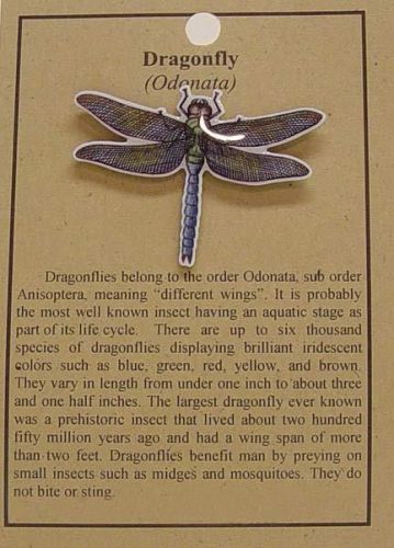 Hat pin lapel pins dragonfly  free shipping for sale