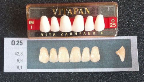 Vitapan Denture Teeth    025    1M1