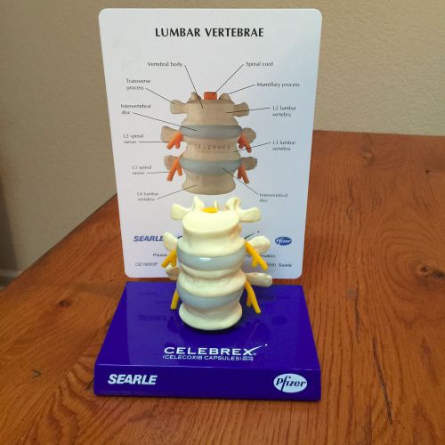 3 Piece Vertebrae Anatomy Model - CELEBREX DRUG REP ITEM - NEW IN BOX