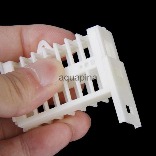 10 Functional Queen Cage Bee Match-box Moving Catcher Cage Beekeeping Tool