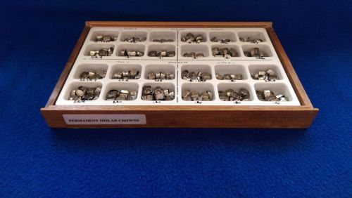Permanent Stainless Steel Molar Crown -Lot 1