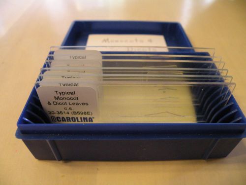 Monocot and Dicot Microscope Slides; Leaves and Roots; 6 slides total
