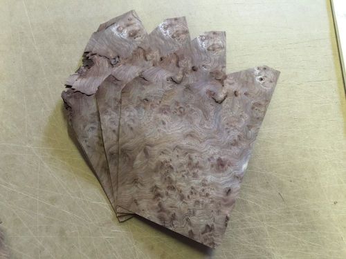 Wood veneer carpathian elm burl 7x8 10pcs total raw veneer&#034;exotic&#034;carp1 10-13-15 for sale