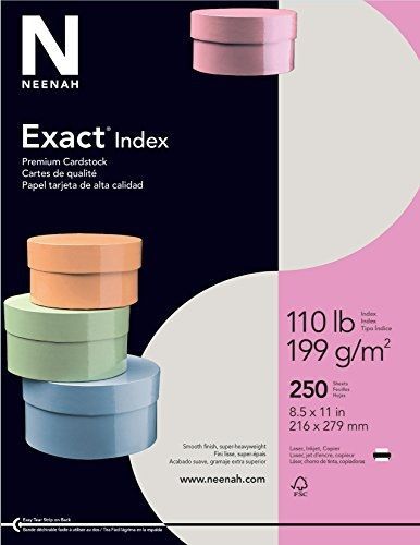 Neenah Exact Index, 110 lb, 8.5 x 11 Inches, 250 Sheets, Gray