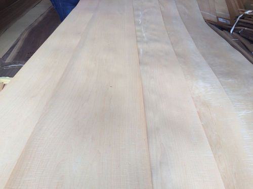 Wood Maple   Veneer  110x10,10,12,13,14, total 5pcs RAW VENEER  1/46 N1187