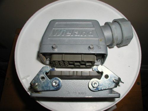 Wieland plug and connector for sale