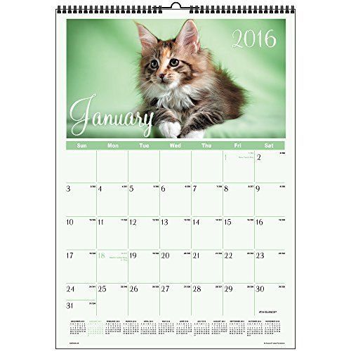 At-A-Glance AT-A-GLANCE Monthly Wall Calendar 2016, 12 x 17 Inches, Kittens